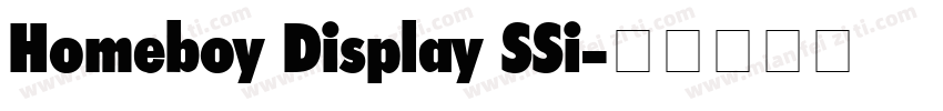 Homeboy Display SSi字体转换